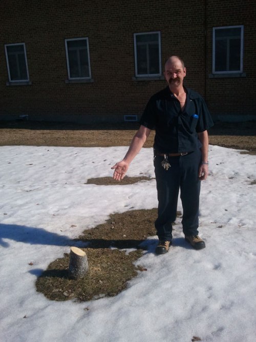 Terry Haffner with the stump of the tree planted in his father's memory.